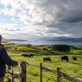 New Zealand farm paddocks under changing weather
